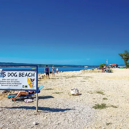 Awesome In Apartament